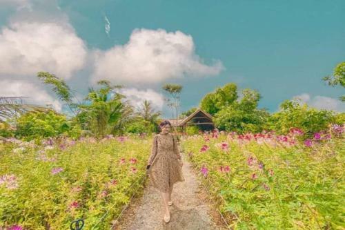 Luxury Hotel Ph� Y�n