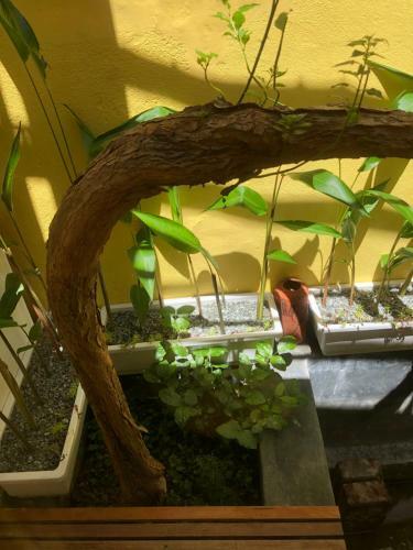 Leranda Homestay