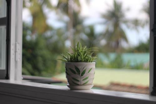 Tiny An Homestay
