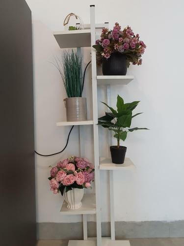 Tulip Homestay