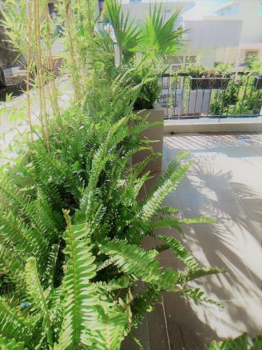 Albergue Delistay