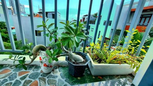 Sena Home 3*3*near Danang Dragon Bridge*han River