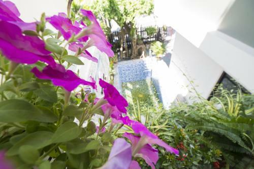 Hai Dao Tourist Villa