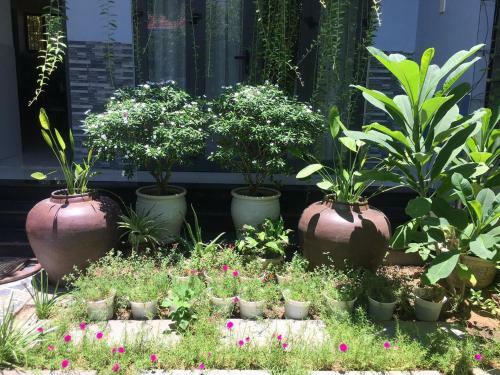 Cherry Garden Homestay