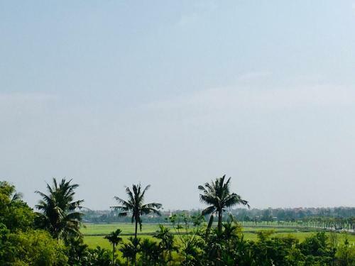 Hoian Village Villa