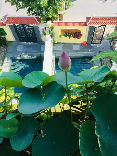 Hoian Village Villa