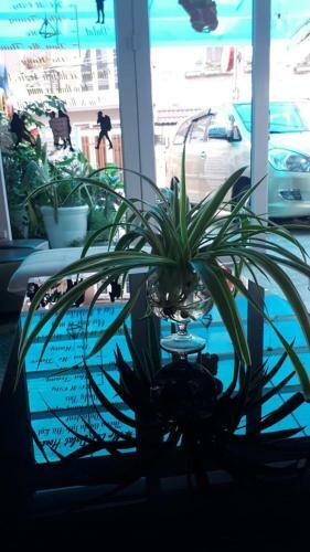 Hotel C?m T� C?u 27 L� H?ng Phong