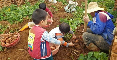 Agroturismo V??n Nh� B�ng
