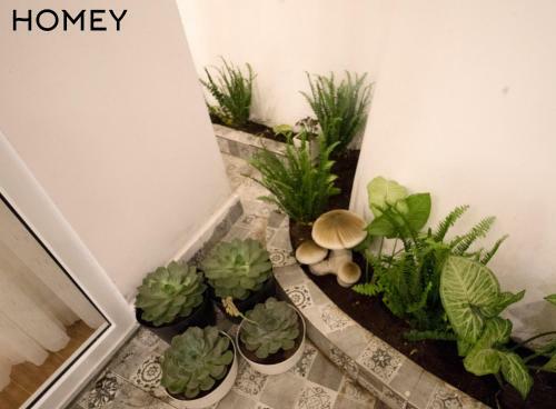 Hostal Homey - Feels Like Home