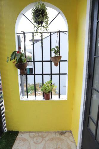 Eudora Homestay
