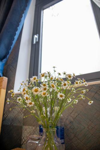 Hostal Villa Su?i M�a Xu�n