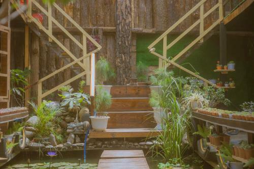 Hostal G? Th�ng Homestay