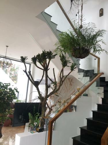Trouvaille House