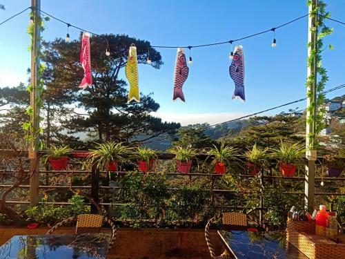 Hostal Icolor Da Lat