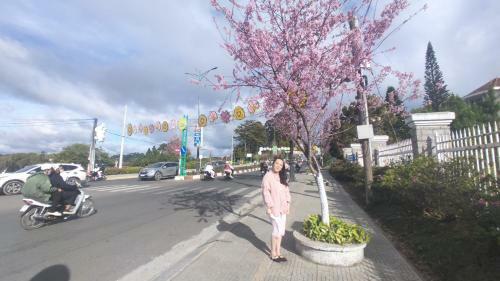 Hotel Nh� Ngh? Ch�u Giang ?� L?t