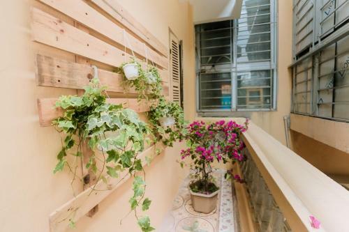 Kalon Homestay, Hai B� Tr?ng, Hn
