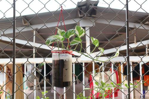 Kalon Homestay, Hai B� Tr?ng, Hn