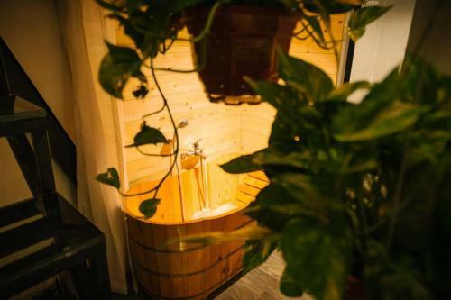 Apartamento Lotushomestayhanoi - Penthouse Pool