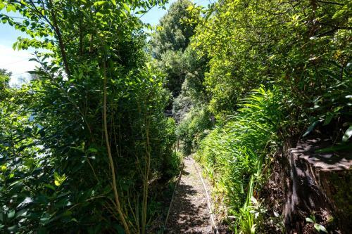 Gosling Getaway - Turangi Holiday Home