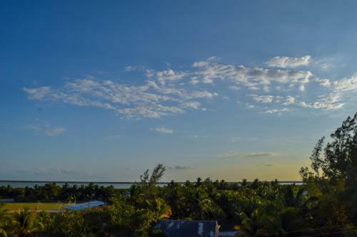 Apartamento Delmar