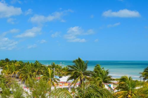Apartamento Delmar