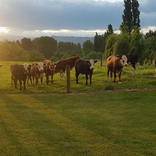 Dunstan Road B&B