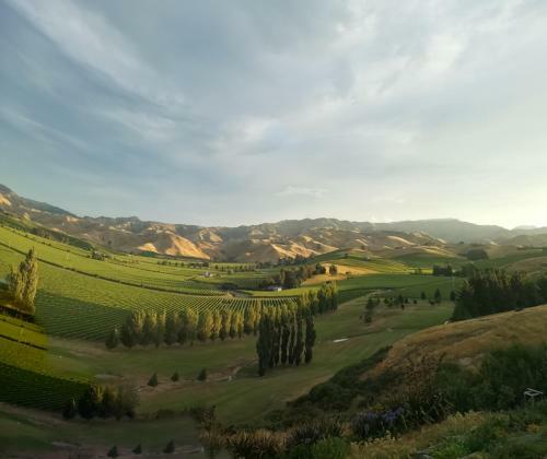 Infinityview B&B