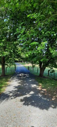 Bed & Breakfast Tui Glade
