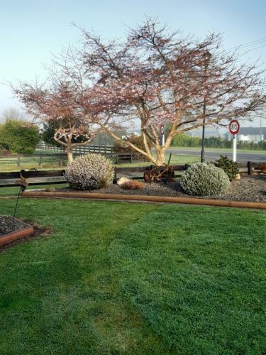 Denchys B&B