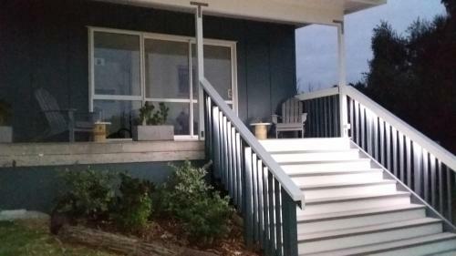Four Huia