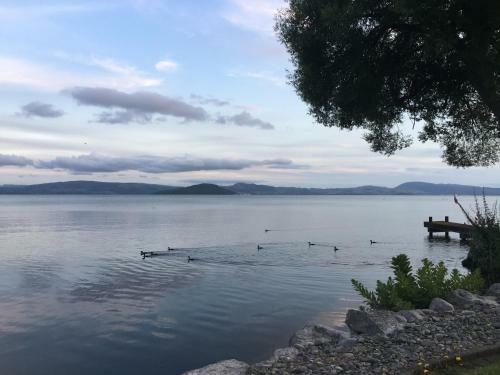 Tranquility Lakefront
