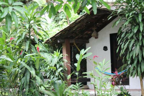 Quinto Sol Hotel Boutique Y Expediciones