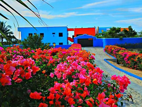 Hotel Villa Star Of The Sea