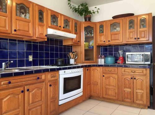Bright Panorama Suite In Downtown Garden Villa!