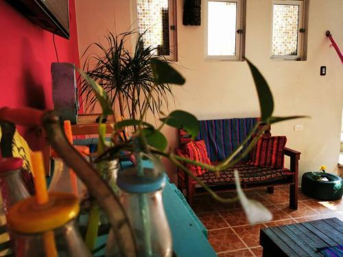 Casa Pitahaya 2 Rooms/habitaciones Pool/alberca