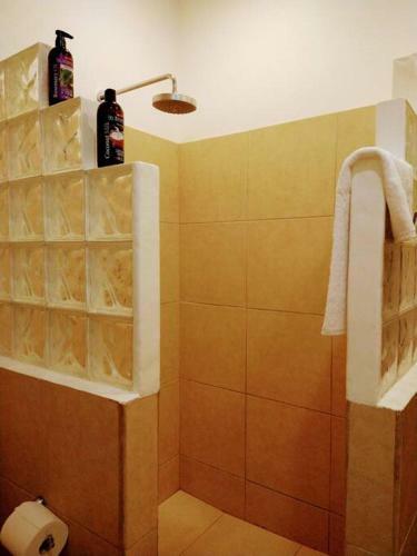 Casa Yemay�