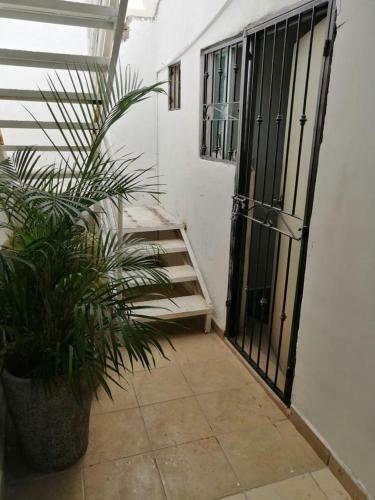 Apartamento Depas Greyken