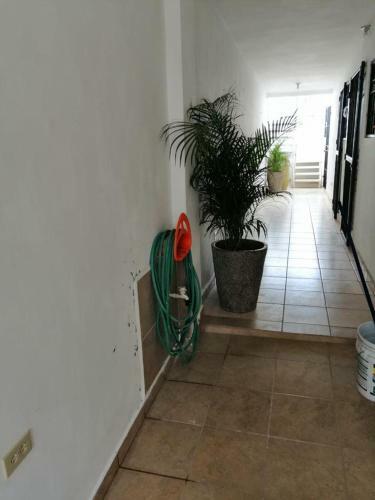 Apartamento Depas Greyken