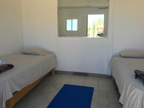 Hostal Susu?z Village Hostel And Rooms