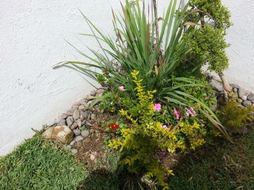 Apartamento Campo Real Oriente