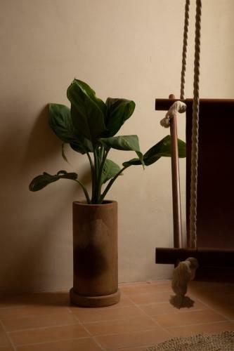 Hotel Casa Montore By Barrio Mexico