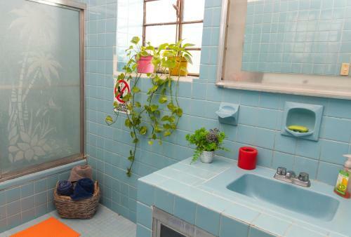 Casa Colores Hostal