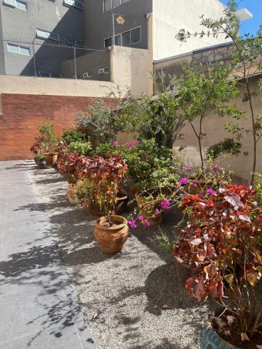 Apartamento Casa Lox