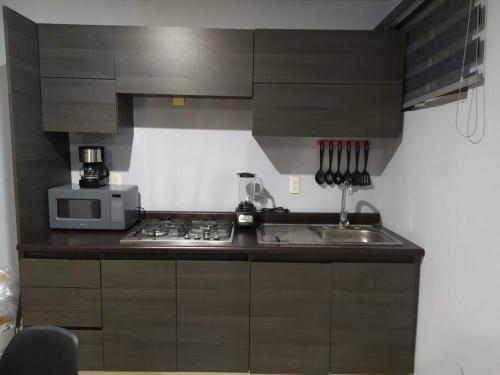 Apartamento Loft Con Amplia Terraza Midtown/providencia
