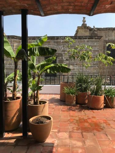 Apartamento Mes�n San Felipe