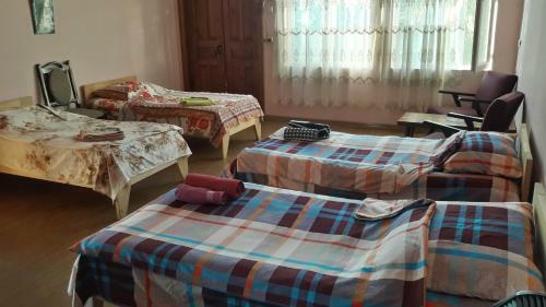 Hostal Cozy Hause