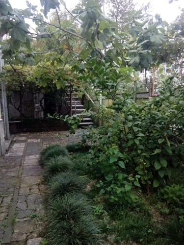 Guest House Andre