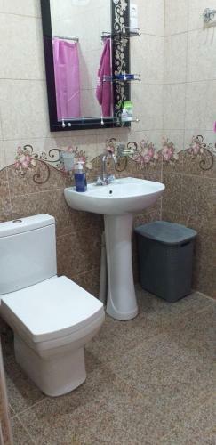 Apartment Rezi
