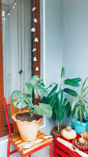 Tekatuka?s Sweet Apartment ?life ?happiness