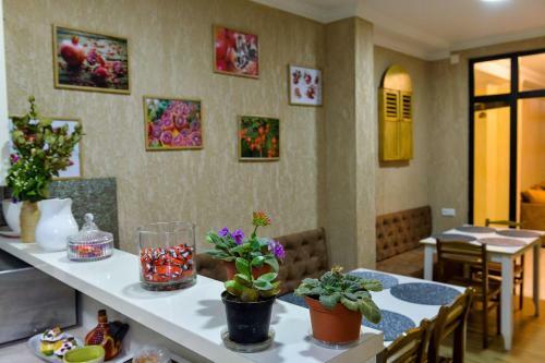 Pomegranate Hotel